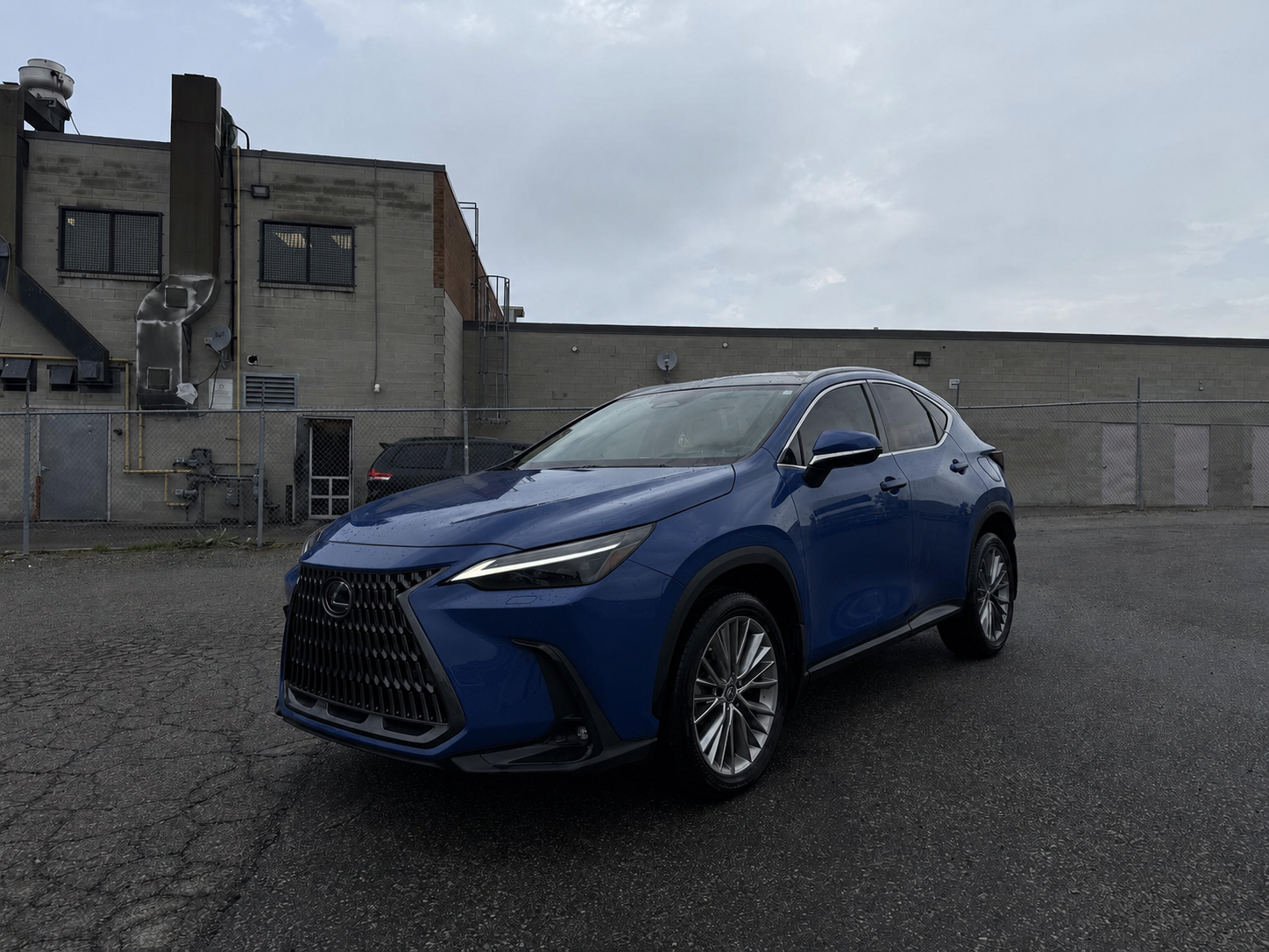 2024 Lexus NX 350
