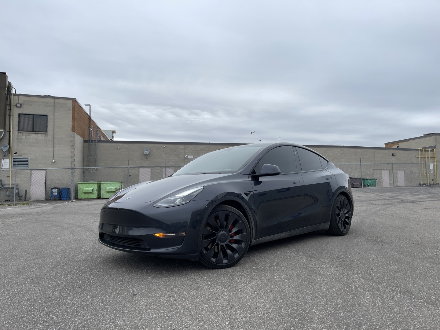2025 Tesla Model Y